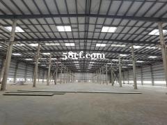 上海金山单层厂房出租 层高12米单层厂房