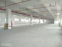 大朗镇独门独院厂房出租