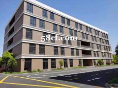 南汇工业区 涪欣智汇园厂房