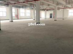 千灯2楼3800平米 丙二类厂房出租