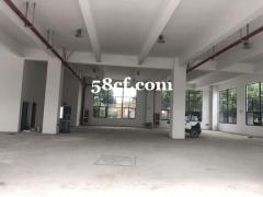 陆家独院18000平米厂房