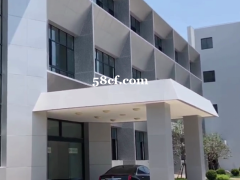 浦东新区蔡伦路159号招厂房