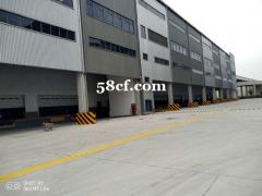 千灯双层仓库出租 全新4万平米