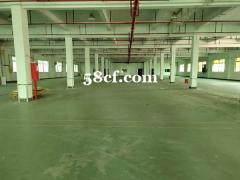 昆山8000平米独院双层厂房