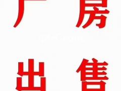 千灯空地120亩出租