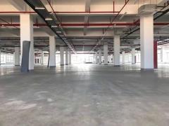 200-3000平标准化厂房出租中央空调消防完善配套齐全