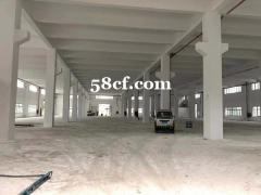 周市陆杨独院厂房出租