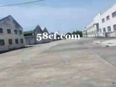 松江泖港工业园区一手单层独院厂房出租