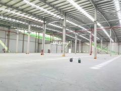 8119平米 全新单层厂房出租 多栋