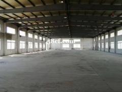 淀山湖 独栋2900平米 全通车间 适合各行