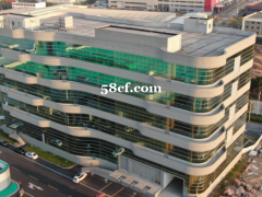 临近高速口 高铁太仓站 全新高标单层厂房