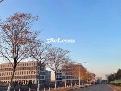 生产办公研发一体 花园式园区