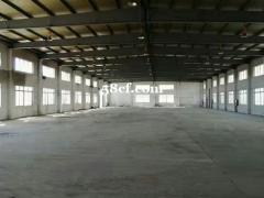 千灯厂房1000平米出租