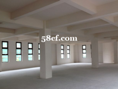 自贸区2400平层高8米、高平台装卸货、五吨大货梯、可申请保