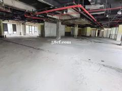 自贸区2400平层高8米、高平台装卸货、五吨大货梯、可申请保