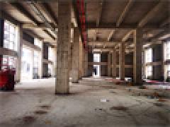 松江新桥新建104地块园区厂房可分割出售，层高7.9米