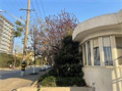 青浦新建104地块园区厂房可分割出售，层高8 米