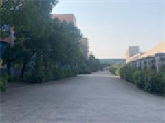 奉贤新建104地块园区厂房可分割出售，层高7米