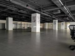 上海外高桥生物医药基地，可环评食品类、生物医药医疗器械研发生