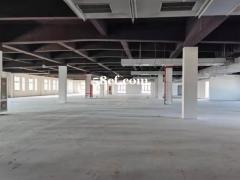 苏州市娄阳路77号全新园区招租证件齐全交通方便