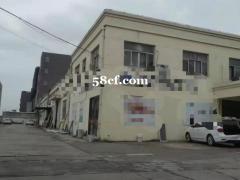 松江老城独门独院1500平层高7.5米104地块可加行车办公