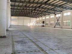 松江老城独门独院1500平层高7.5米104地块可加行车办公