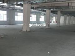 出租城南多层厂房，面积8000平米，