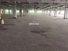 周市独栋5000平出租