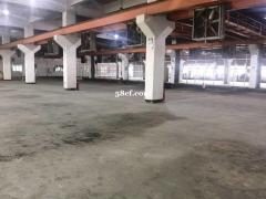 周市独栋5000平出租