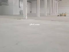 周市金茂路3500平可做食品加工证件齐全