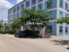 佛山狮山招大独门独院标准厂房出租