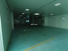 花都厂房出租原房东红本厂房5800平带装修