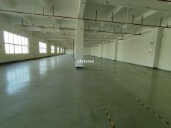 花都厂房出租原房东红本厂房5800平带装修