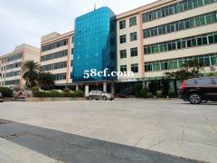 花都厂房出租现成装修独栋5000平红本厂房便宜出租