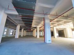 花都厂房出租现成装修独栋5000平红本厂房便宜出租