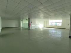 花都厂房出租新空出租带装修办公室厂房1100平