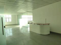 花都厂房出租新空出租带装修办公室厂房1100平