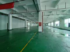 花都特价仓库出租2800平带装修丙二消防