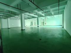 花都仓库出租3000平带装修有地坪漆丙二消防