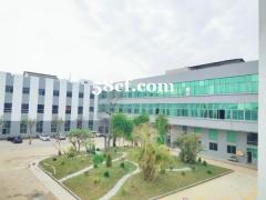 番禺钟村3个地铁口位置园区6万方厂房仓库火爆招租，可随意分租