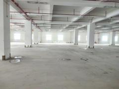 番禺钟村3个地铁口位置园区6万方厂房仓库火爆招租，可随意分租