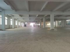 番禺钟村原房东厂房出租。面积1250方，证件齐全。