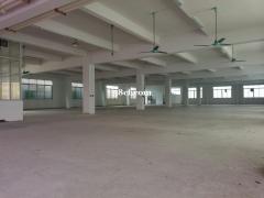 番禺钟村原房东厂房出租。面积1250方，证件齐全。