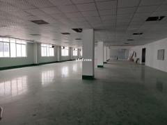 花都独院5000平厂房出租