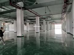 花都独院5100平厂房仓库出租