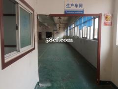 胥口二楼500平，精装修，随时入住