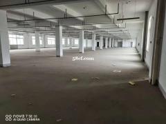 南湖大桥镇1200平标准厂房出租，楼高8米