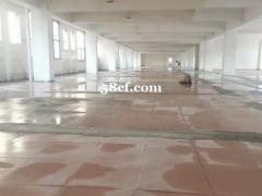 盐步河西13一方可分租