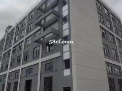 金华全新装修十年不涨租金租金便宜的现房厂房出租