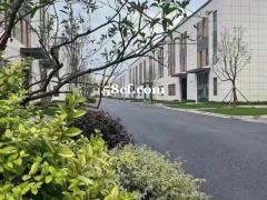 市区国资开发独栋厂房出售面积1600到2400，单价4600